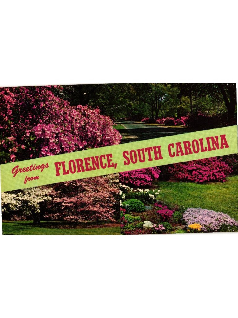 Greetings From Florence South Carolina Vintage Postcard CK-378 Unused